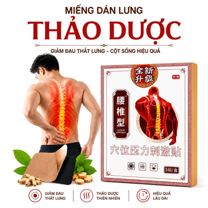Herbal Back Patch for Muscle Relaxation and Relief of Back Strain/Fatigue