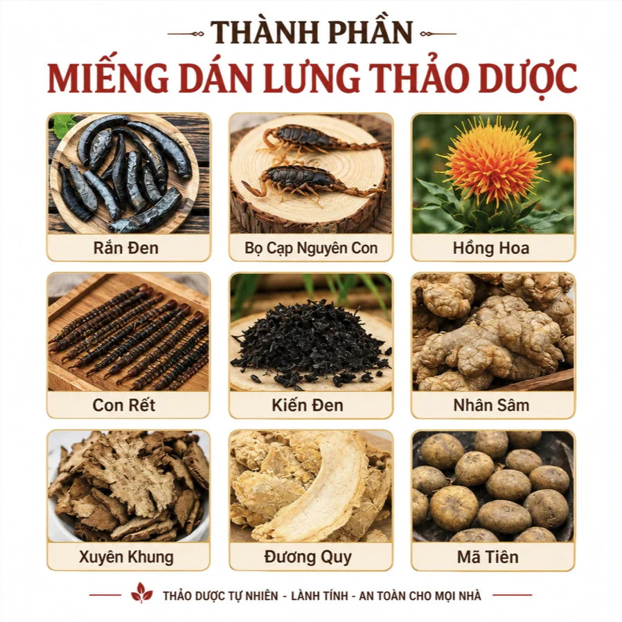 Herbal Back Patch for Muscle Relaxation and Relief of Back Strain/Fatigue