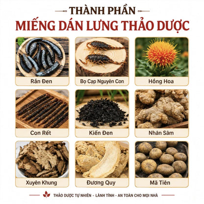 Herbal Back Patch for Muscle Relaxation and Relief of Back Strain/Fatigue